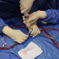 Course Image Fellowships in ECLS-ECMO