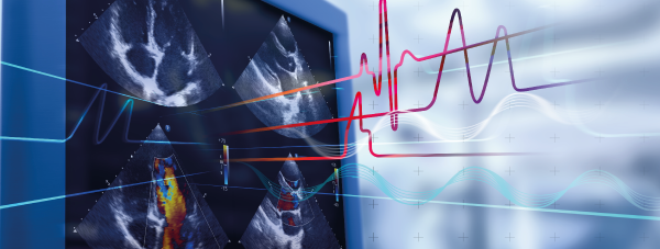 Course Image Advanced Course on Critical Care Echocardiography